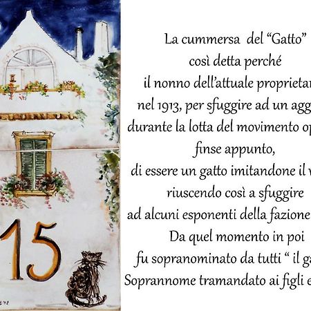 La Cummersa Del Gatto Locorotondo Εξωτερικό φωτογραφία